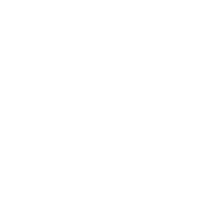 UAW logo